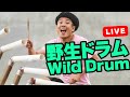 Wild Drum Live