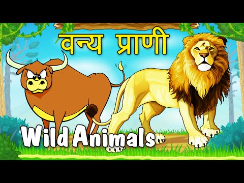 Let&#;s Learn About Wild Animals - Preschool Learning in Marathi | Types Of Domestic Animals