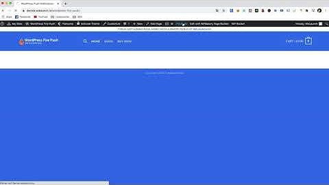 WordPress Fire Push – SMS & Web Push Notifications Plugin