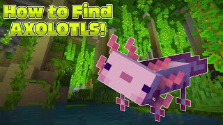 How to Find Axolotls! MINECRAFT