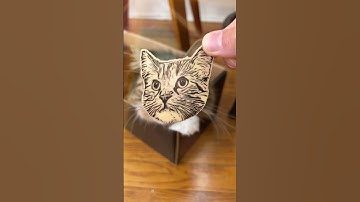 All About The Glowforge Aura