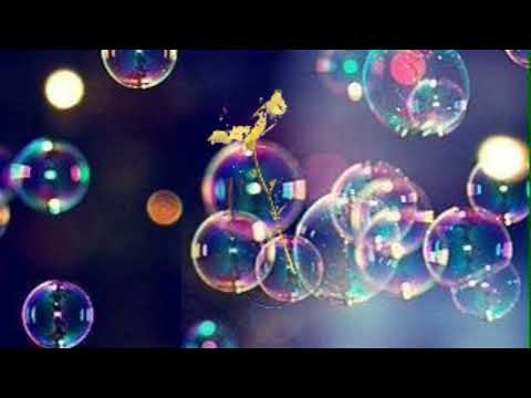 工藤静香【慟哭】#うたってみた #歌ってみた