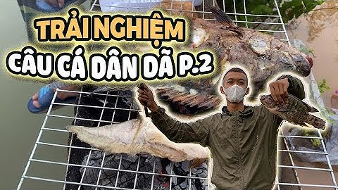 Trải Nghiệm Câu Cá Nướng Ăn Tại Chỗ Dân Dã P2  | Trung Kiên Vlog