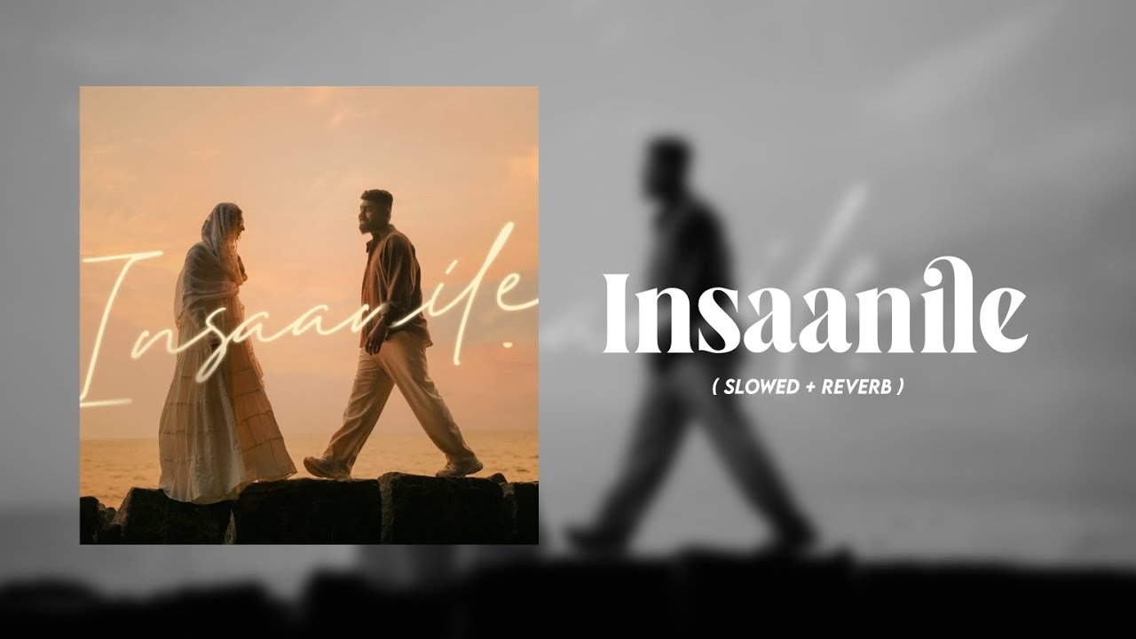 Insaanile ( slowed + reverb )ft. Hanan shah