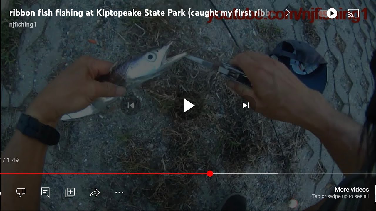 what is the fishing regulations for cutlass fish (ribbon fish, belt