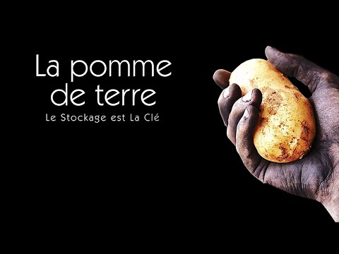 Vidéo: 5 Erreurs Du Jardinier Qui Entraînent La Détérioration Des Pommes De Terre Pendant Le Stockage