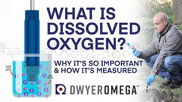 What is Dissolved Oxygen - Why is it Important - And How is it Measured?