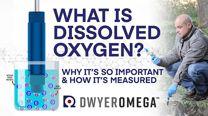 What is Dissolved Oxygen - Why is it Important - And How is it Measured?