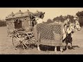 वो वाहन जो हम 100 साल पहले तक इस्तेमाल करते थे The vehicles we used 100 years ago