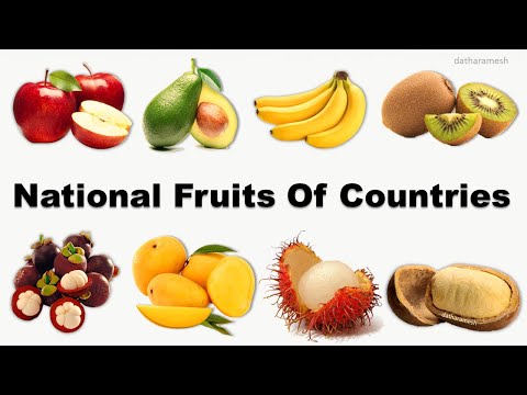 national-fruits-of-countries-|-flags-and-countries-with-national-fruits