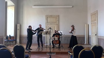 F. J. Haydn - String Quartet in G Major Op.77 Nº1 - Allegro moderato