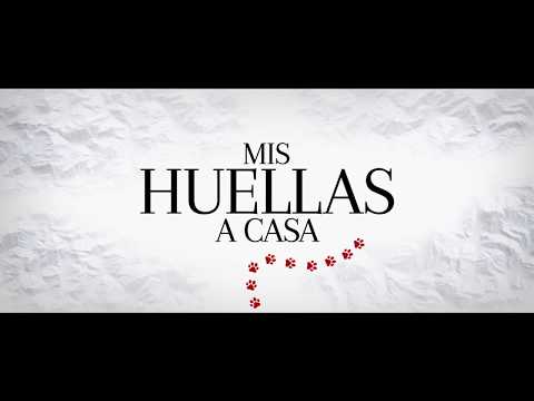 MIS HUELLAS A CASA