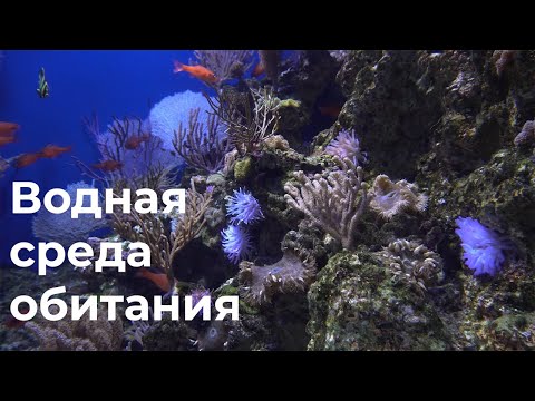 Водная среда обитания 5 класс