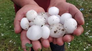 Yumurta Büyüklüğünde Yağmıştı! Doluzedeler Devletten Yardım Bekliyor