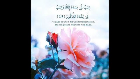 تلاوة عطرة تريح القلب للٱمام حمزة ميزالي لمسجد عبد الحميد بن باديس بودواو