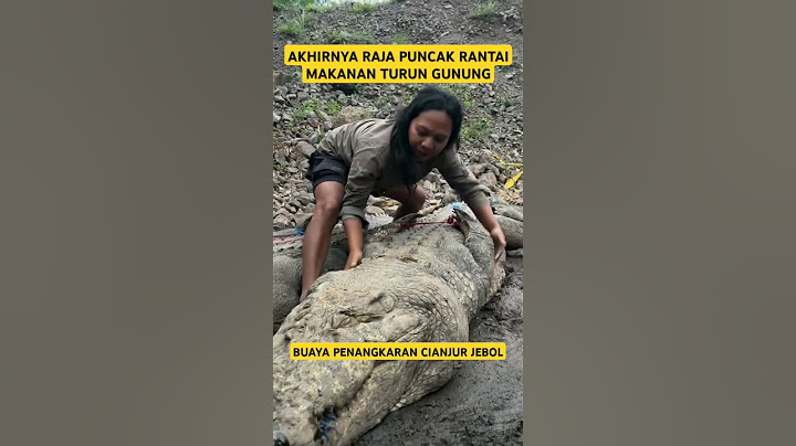 KETIKA DEDE INEON TURUN GUNUNG IKUT MENANGKAP BUAYA CIANJUR YANG LEPAS #shorts #viralvideo #cianjur