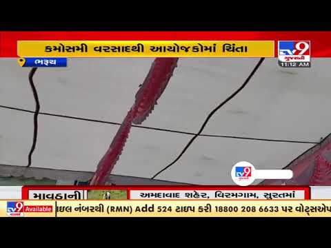 Number of weddings affected due to unseasonal rain showers in Bharuch | TV9News