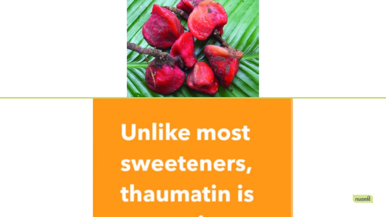 What is Thaumatin? YouTube