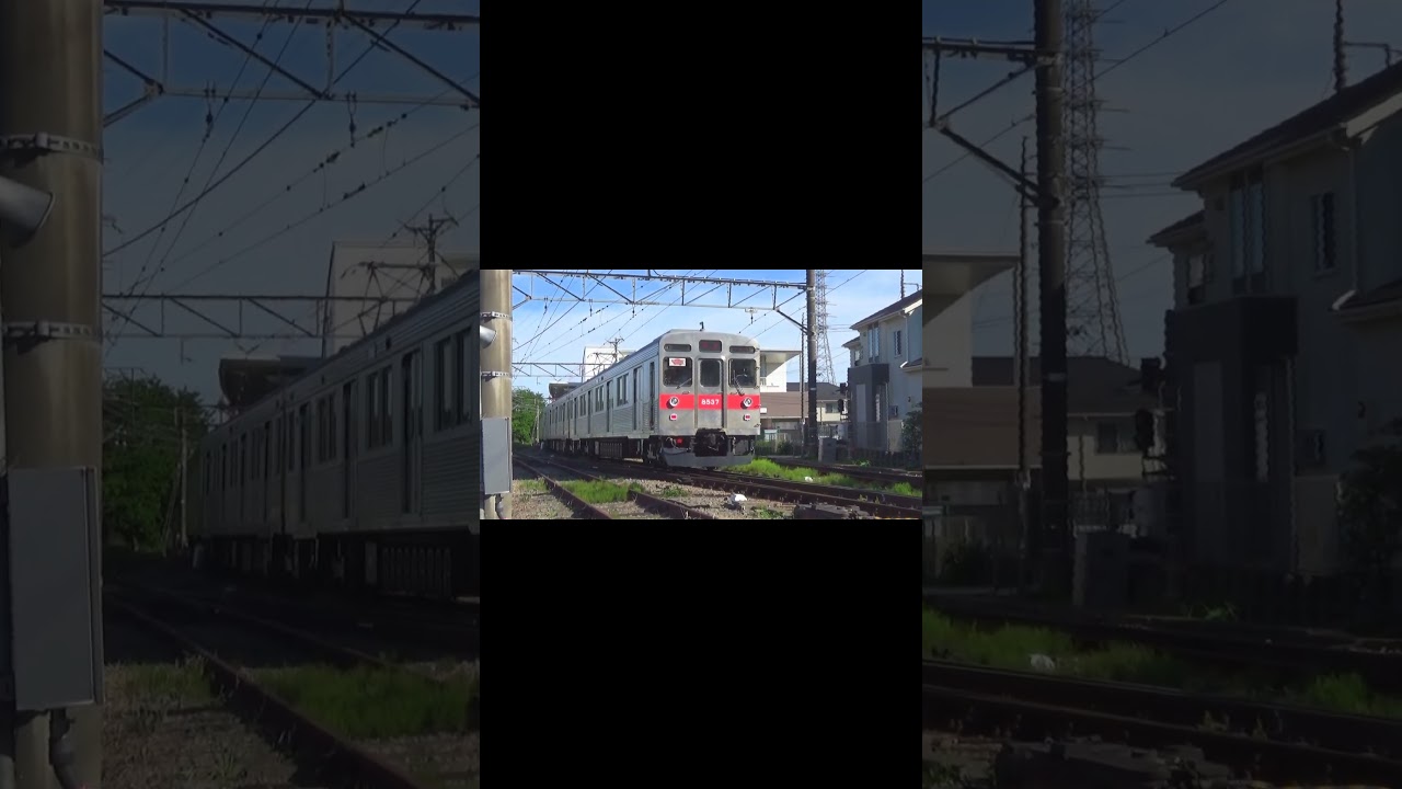 亀の瀬の大和路線 小学生乗車無料の日」について えちごトキめき 5月5 