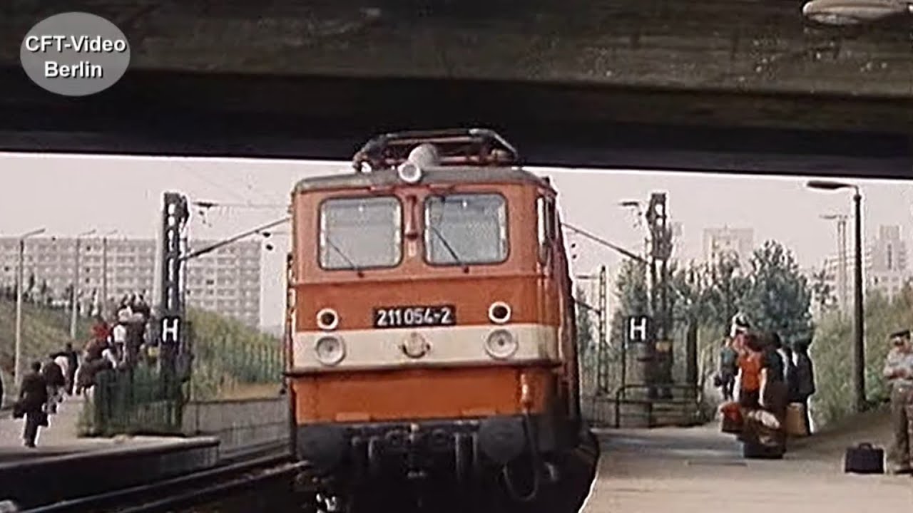 Holzroller in Halle/Saale