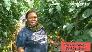 Kisah Inspiratif Petani Perempuan di Tanah Karo