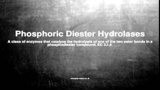 Medical Vocabulary What Does Phosphoric Diester Hydrolases Mean