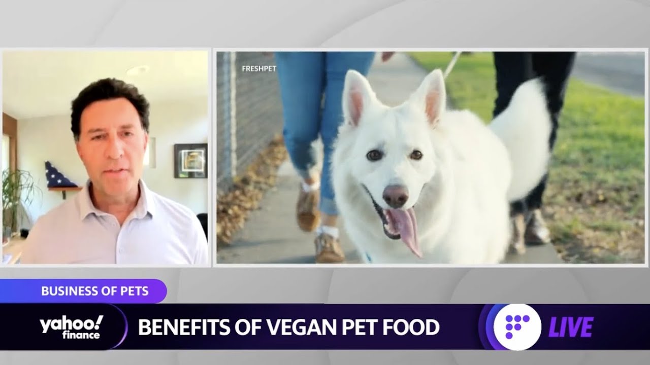 Plant based pet food Freshpet discusses the launch of vegan food for
