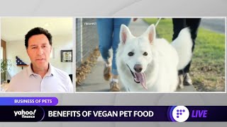 Plant based pet food: Freshpet discusses the launch of vegan food for pets