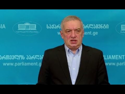 ოპოზიცია ხავსზე მოკიდებულის შთაბეჭდილებას ტოვებს -  ვოლსკი პოლიტპატიმრების შეწყალებაზე