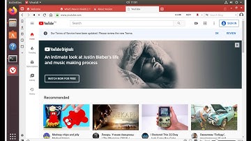 Install Vivaldi v. 2.11  (64 bit) in Ubuntu 18.08, 19.10.