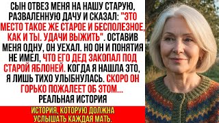 видео: Сын бросил меня на старой даче, чтоб я не мешала ему жить. Но он не знал о главном секрете его деда… картинка: Сын бросил меня на старой даче, чтоб я не мешала ему жить. Но он не знал о главном секрете его деда…