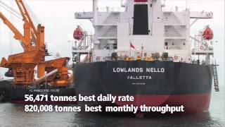 Bedeschi - Liebherr - Logmarin / A strategic Alliance