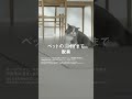 パナソニック 次亜塩素酸 空間除菌脱臭機4000B商品篇タテ【パナソニック公式】