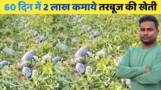 तरबूज की खेती कैसे करें // watermelon farming// tarbuj ki kheti