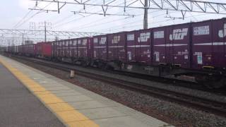 東海道貨物列車8052レ 牽引機:EF210-9