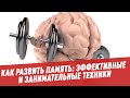 Как развить память: эффективные и занимательные техники - Мозг