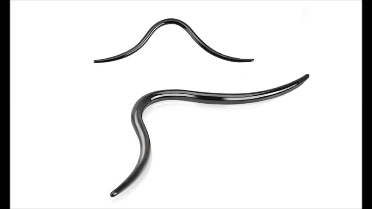 Mustache Septum Rings! body piercing valparaiso