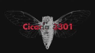LEMMiNO - Cipher (BGM) (EXTENDED 1 HOUR [SEAMLESS])