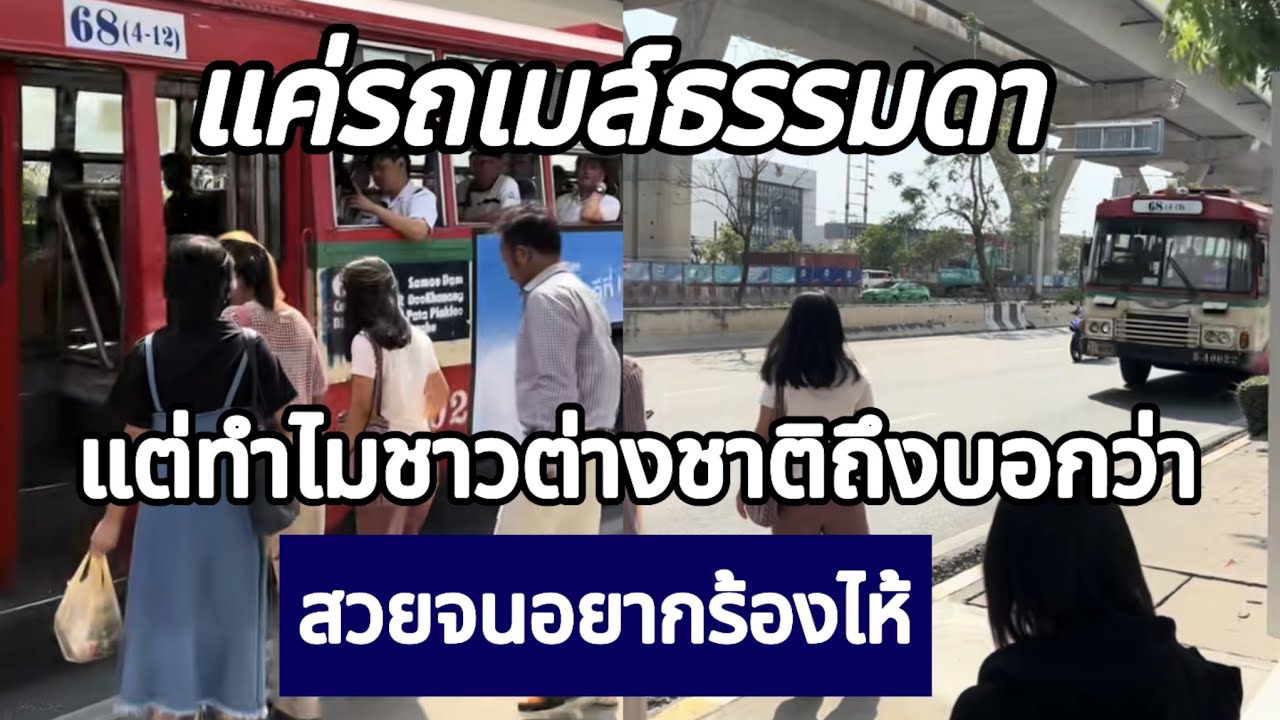 แค่รถเมล์ธรรมดา แต่ทำไมชาวต่างชาติถึงบอกว่า ‘สวยจนอยากร้องไห้ [คอมเม้นต์] |Storytime|