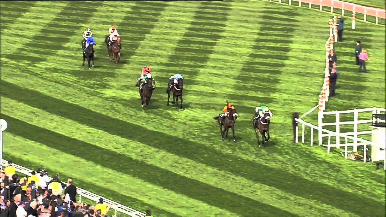 Grand National Winners Racing TV YouTube