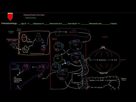 Hyperlipoproteinemia Type III (Familial Dysbetalipoproteinemia) [free sample]