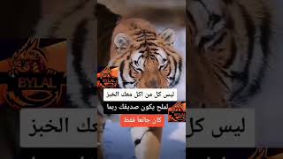 أقوال وعبارات وأحكام بلال_البيدر