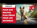 PODCAST - Pour des routes plus sûres pour les animaux !