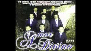 Video voorbeeld van "Amor Divino Coxom1"