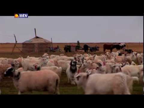 Видео: Золиослох. Зовлон шаналлын шагнал. Хамгийн сүүлд хэн дараалалд орсон бэ?