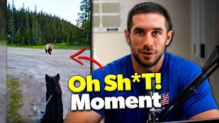 When Dogs Encounter Wild Animals | Dog Trainer Reacts