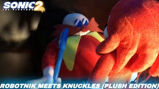 Sonic The Hedgehog 2 robotnik Meets Knuckles plush Edition