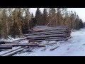 Заготовка зимнего вятского леса.avi