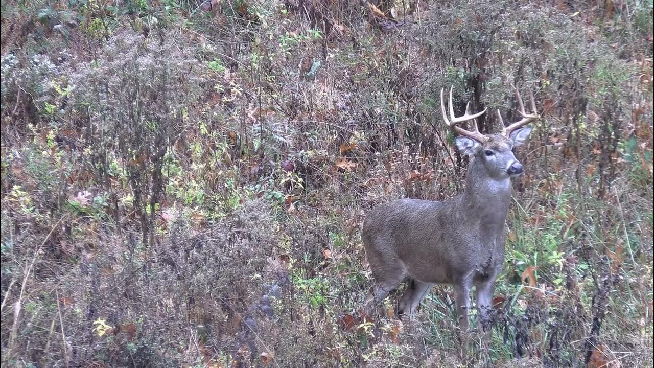 missouri-big-buck-bow-hunt-youtube