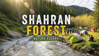 Shahran Forest Pakistan 🌲 | Cinematic FPV Drone Tour